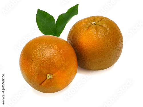 Fresh extra sweet Chocolate oranges, close-up on white background