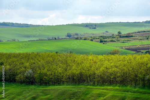 Rural landscape with green agricultural fields, trees and grass on spring hills.