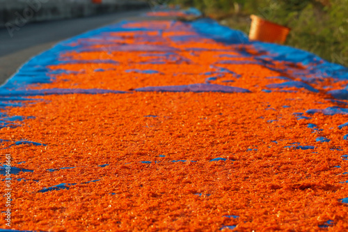 Dried shrimp. Preserving food by drying with sunlight.