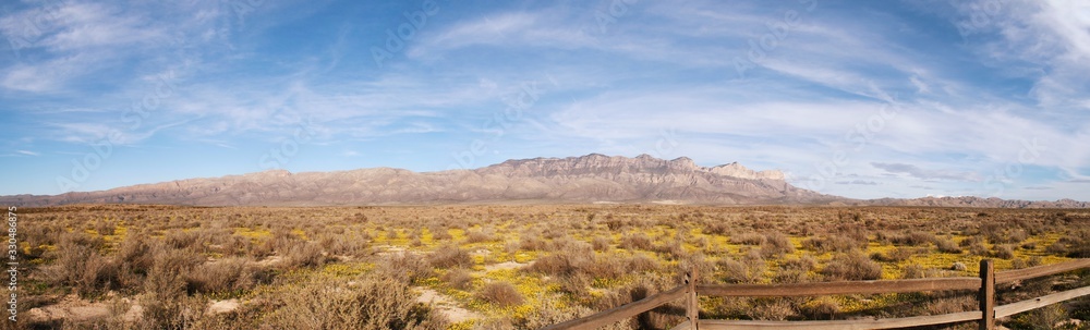 Panoramic view of Guadalupe mountains and desert plants in foreground. 