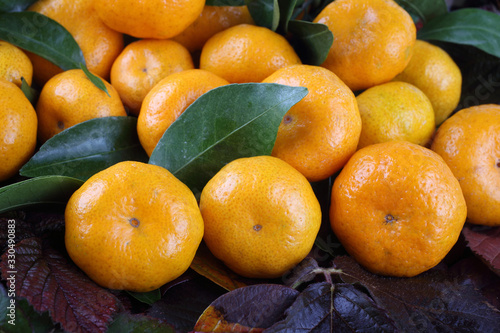 Mandarin oranges background
