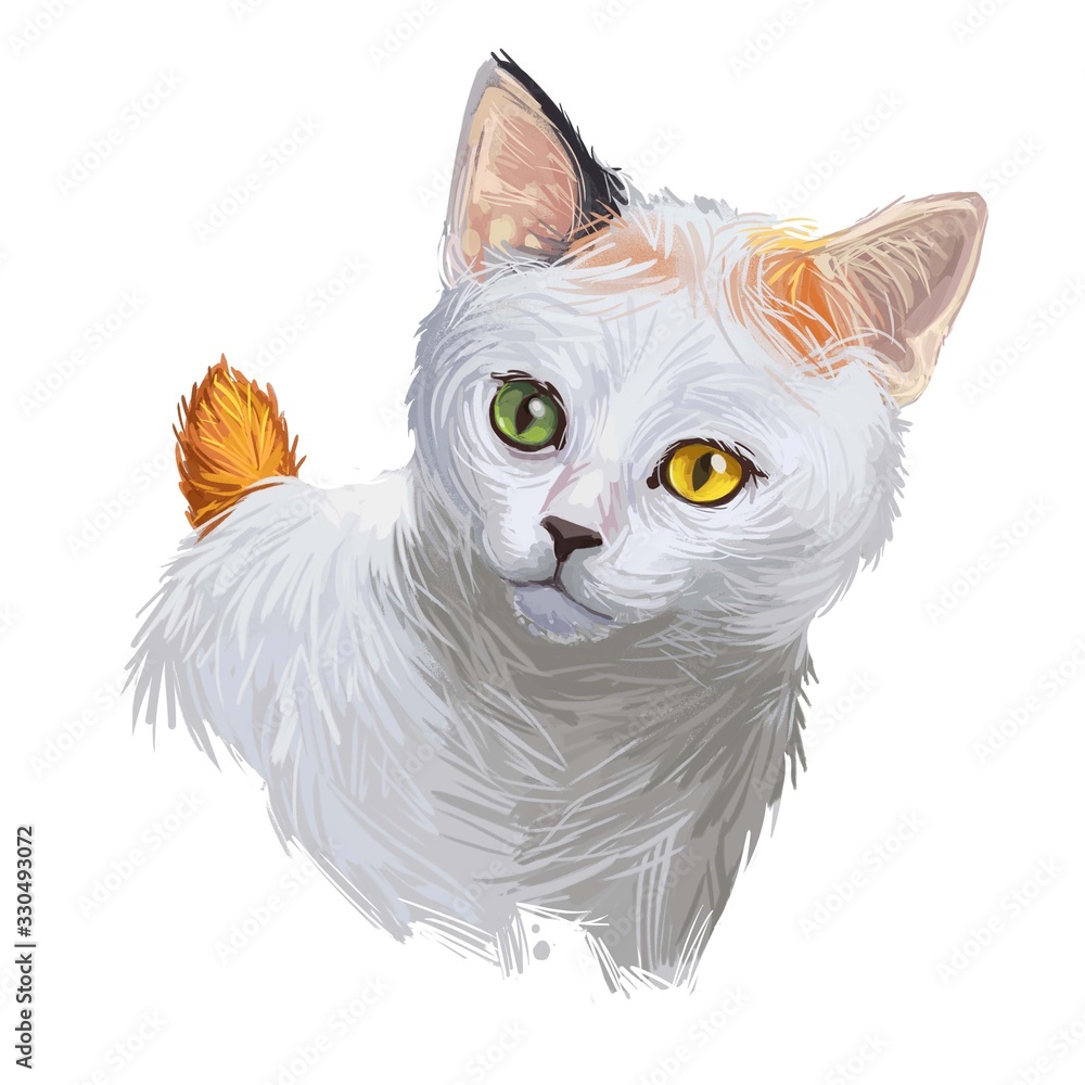 Φωτογραφία Japanese bobtail kitten with short hair isolated on purple background