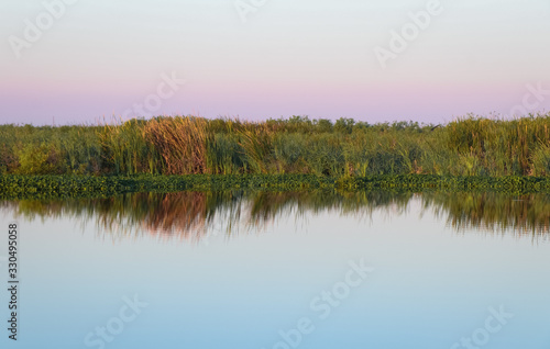 Sunrise over Florida Wetlands
