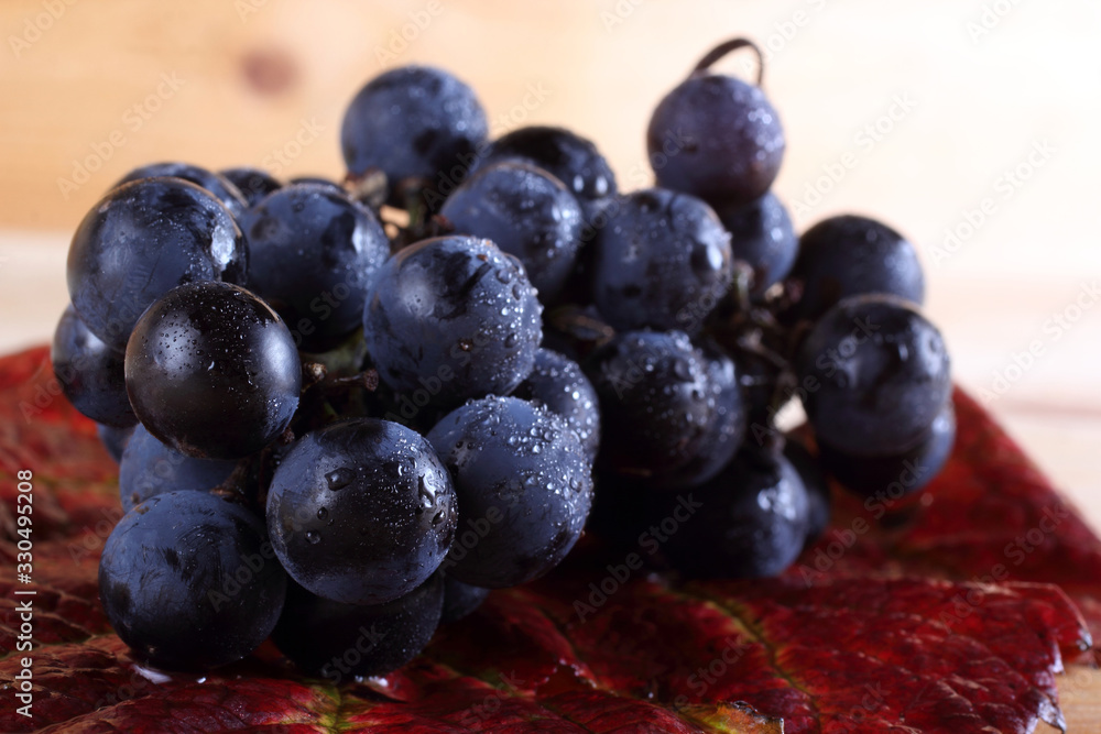Fototapeta premium Black wine grape on autumn leaf