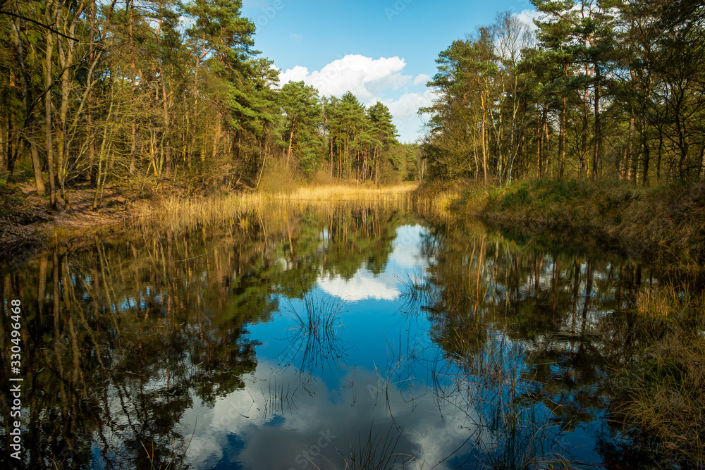 Small lake with beautiful reflections of the trees in the water of the forest of Holtingerveld and a blue sky with white clouds near Havelte, province Drenthe region westerkwartier