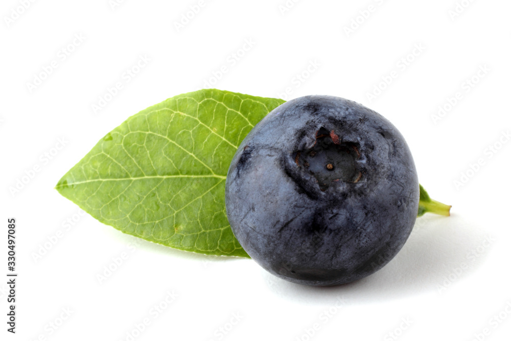 Blueberry and leaf Blueberry and leaf