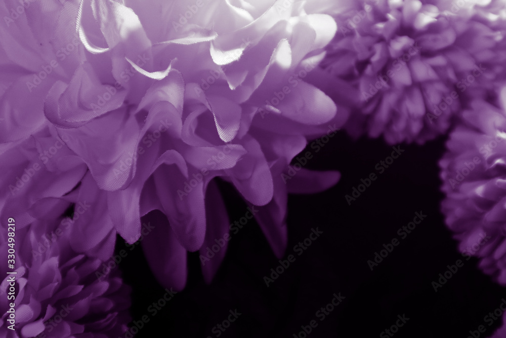 Naklejka premium Beautiful abstract color blue pink and purple flowers on black background and blue graphic white flower frame and pink leaves texture, purple background, colorful graphics banner 