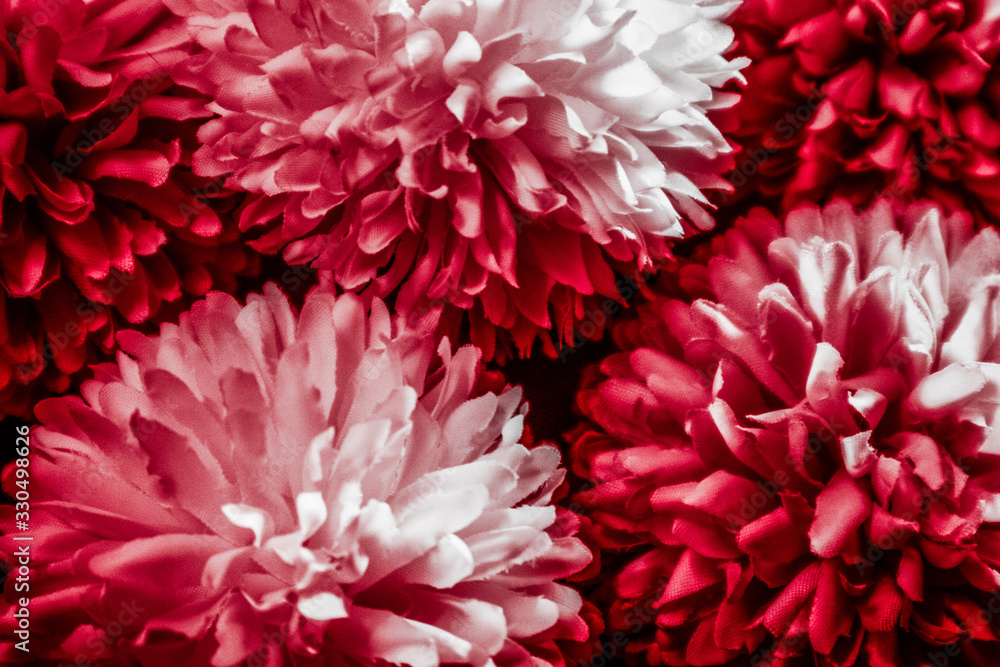 Beautiful abstract color pink and red flowers graphic on black background and light black and pink flower frame and pink leaves texture, dark background, red banner happy valentine Beautiful abstract color pink and red flowers graphic on black background and light black and pink flower frame and pink leaves texture, dark background, red banner happy valentine
