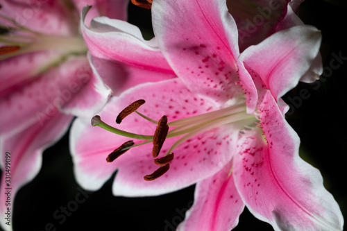 bouquet of lilies