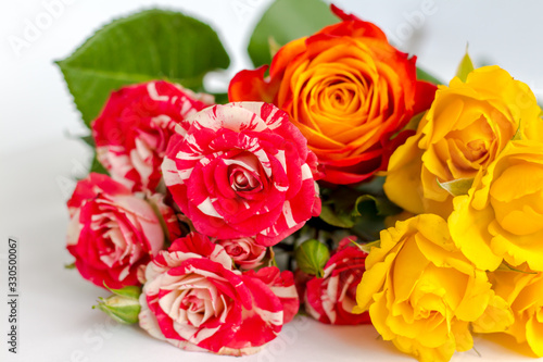 bouquet of various bright roses close, flower greeting card, love present