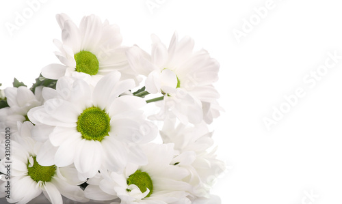 Delicate flowers isolated on white background.