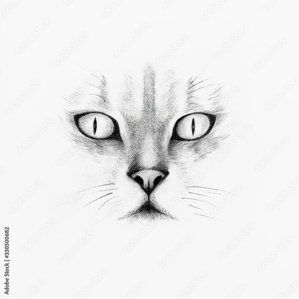 prompthunt highly detailed full body realistic pencil sketch of a  beautiful cat with big green eyes in front of the universe