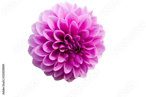 The name of this flower is Dahlia. The blank part can be used for the message board.