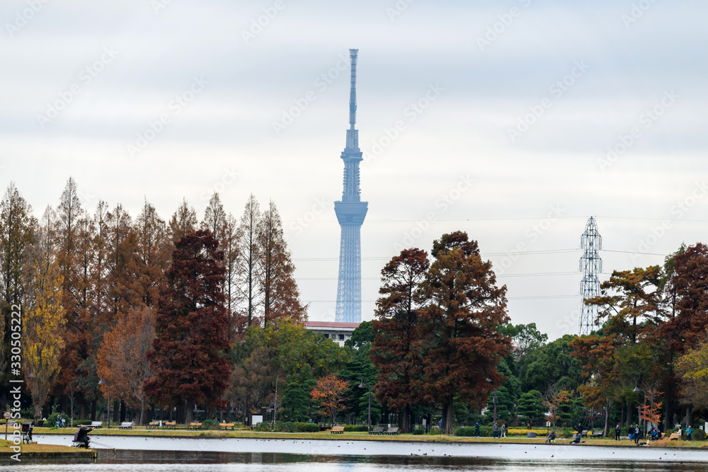 Obraz premium 水元公園 紅葉