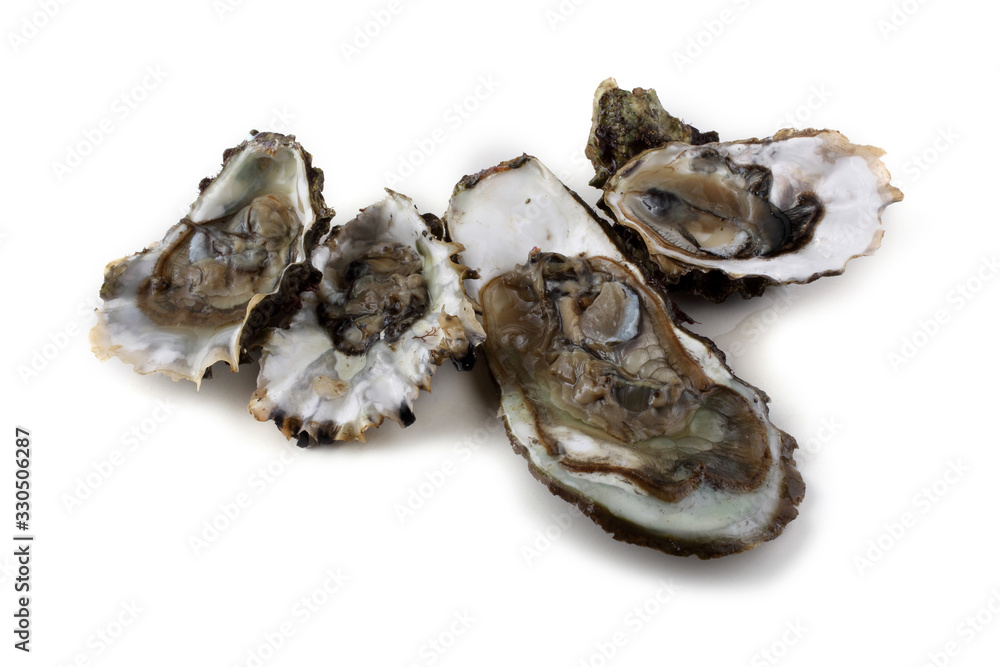 Opened oyster Opened oyster