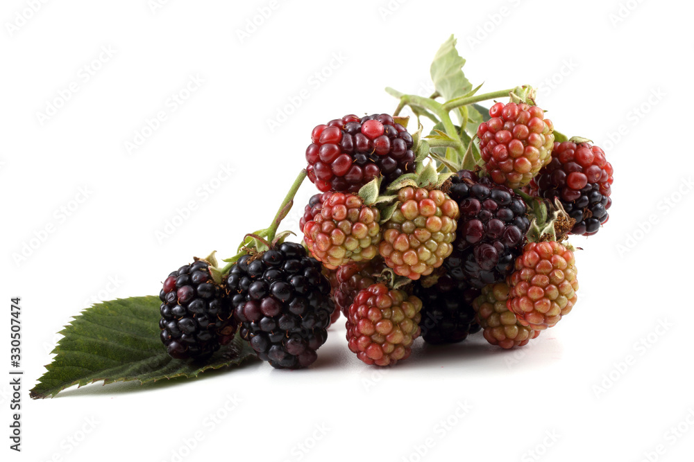 Cluster of blackberries Cluster of blackberries
