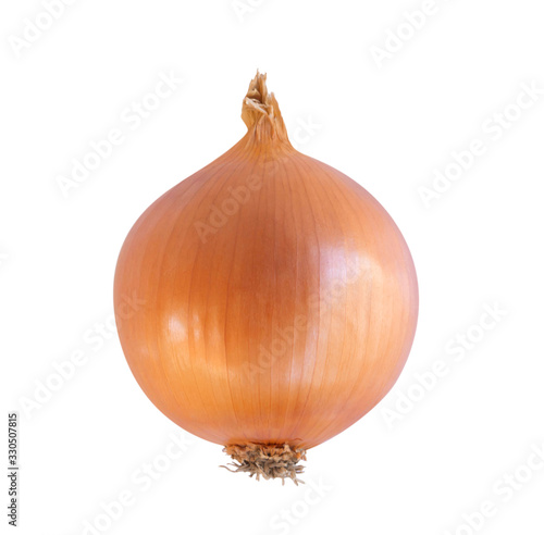 Onion isolated on white background, raw food