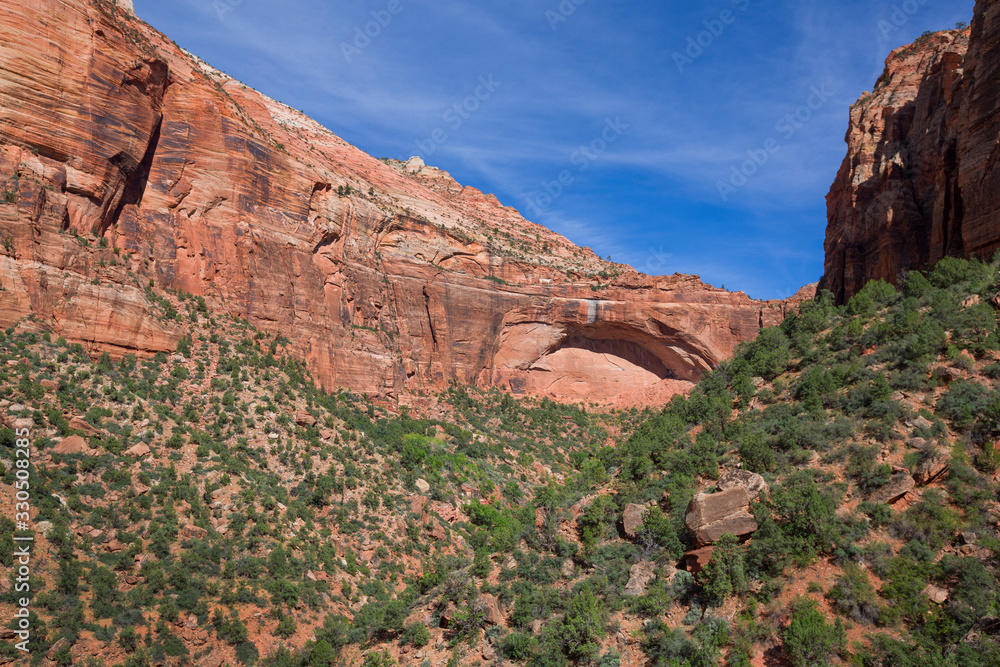 Fototapeta premium Rock formation Arch Cave in Zion National Park, USA
