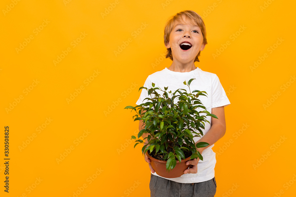 Cute little boy in t-shirt and trousers waters flowers isolated on yellow background Cute little boy in t-shirt and trousers waters flowers isolated on yellow background