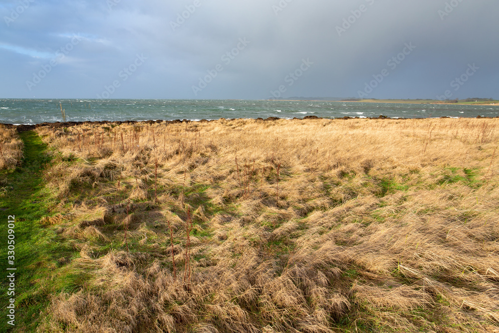 Scenic coast near Ebeltoft in Djursland, Jutland, Denmark