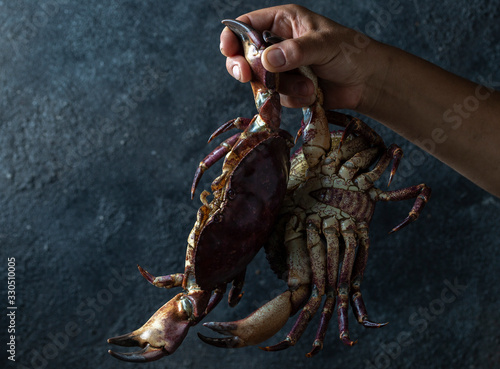 Mans hand holding Two Crabs