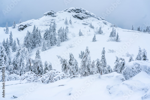 Fényképezés Winter am Arber