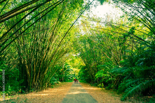 Bamboo Cathedral, Chaguaramas, Trinidad photo