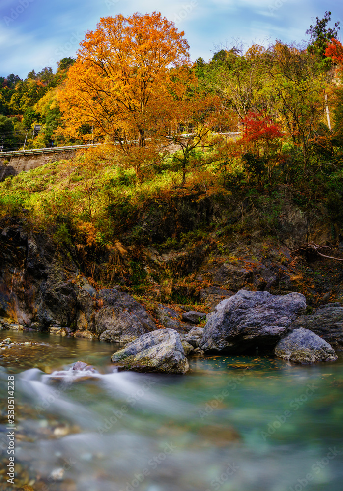 鳩ノ巣渓谷紅葉