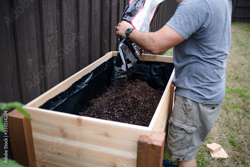 Man pours a bag of top soil into a DIY raised wooden suburban backyard container garden box in preparation for planting organic vegetables.