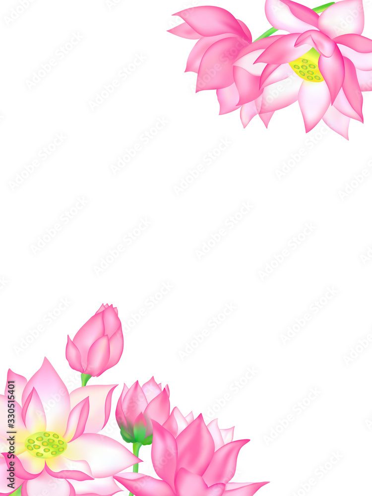 Lotus flower bouquets with buds isolated on white vector illustration. Pink open flowers and lotus buds. Beautiful blossom bouquets for invitation and greeting cards.