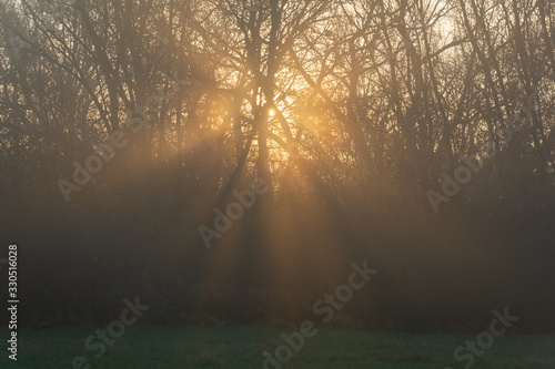 Sunbeams in Mist
