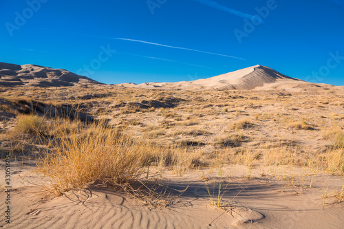 Sand dunes of Kelso in Mojave National Park with blue sky