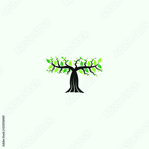 beautiful tree in the shape of the letter T with a strong trunk and leaves