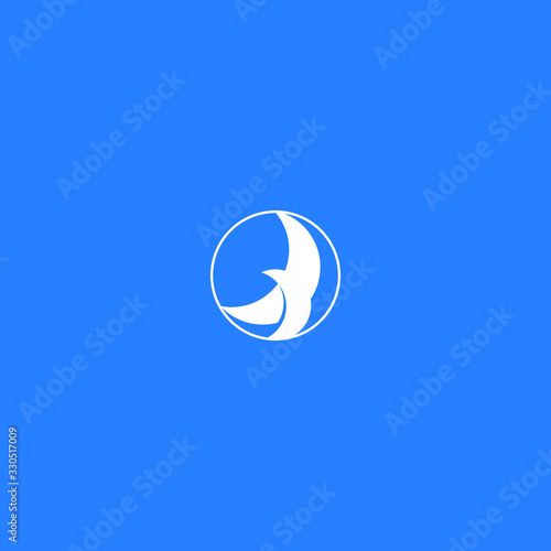 beautiful bird of prey in a circle does somersault in the air
