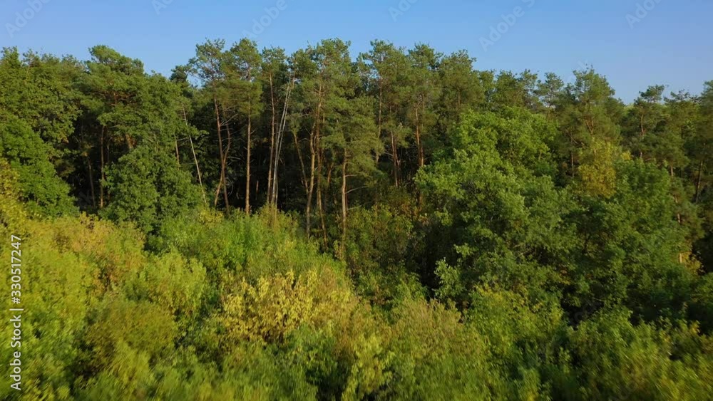 Aerial view of the beautiful landscape - green deciduous forest and clear sky Aerial view of the beautiful landscape - green deciduous forest and clear sky
