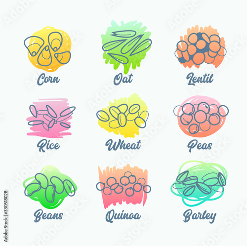 Set Cereal Types, Isolated Icons of Corn, Oat and Lentil, Rise Wheat and Peas, Beans Quinoa and Barley. Stylized Grain Labels for Groats Packing Design, Advertising Healthy Food. Vector Illustration
