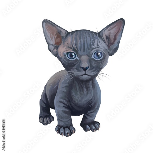 Slika na platnu Minskin kitten digital art illustration of small kitty