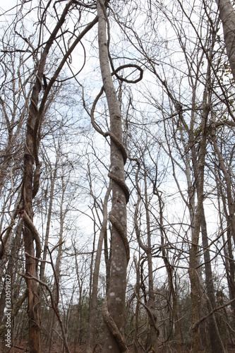 Climb