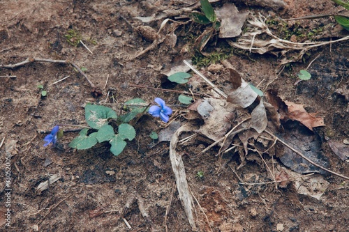 Blue