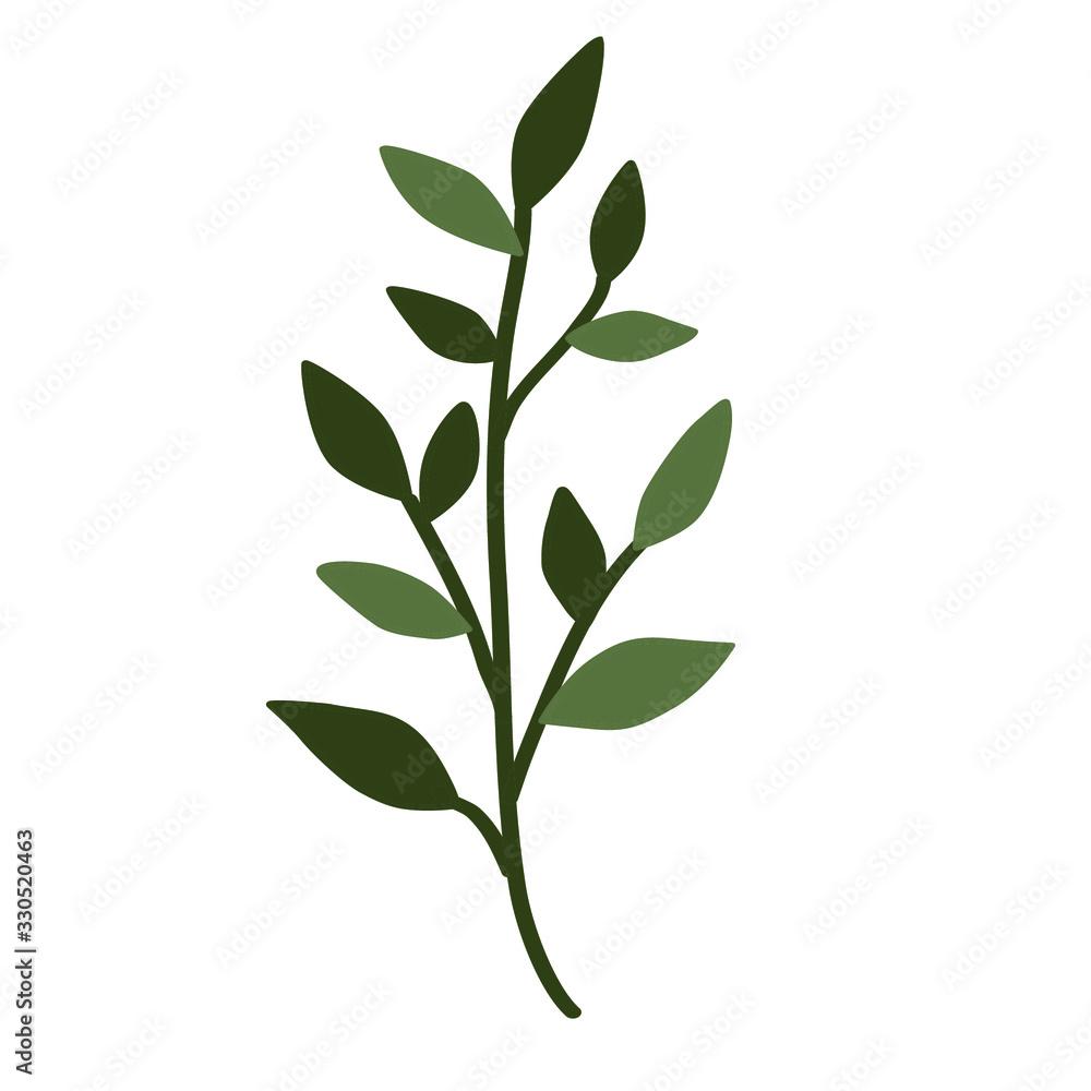 Fototapeta premium Branch. Twig. Plant. Vector image .Vector image of a branch.