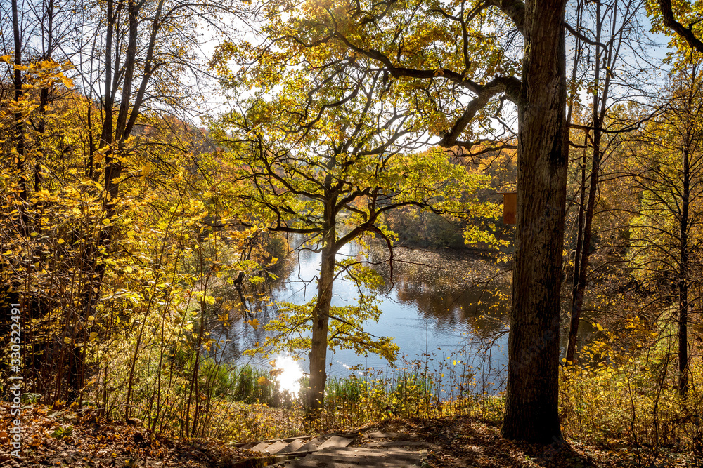 Colorful autumn foliage in Markuciai park in Vilnius, Lithuania