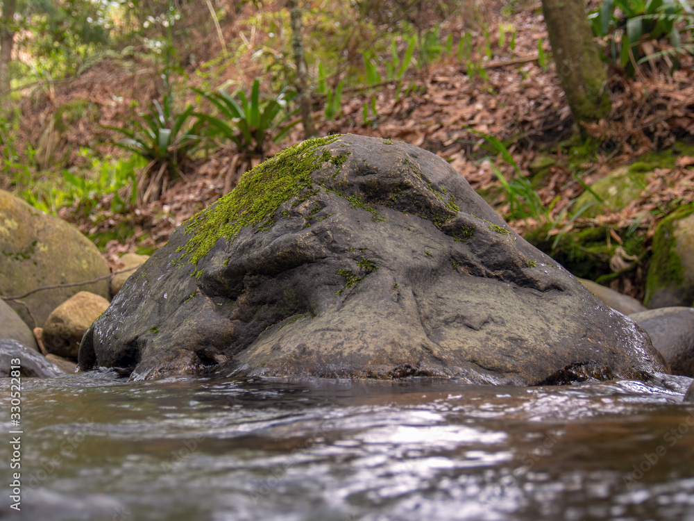 Close-up photography of some rocks in a ravin located at the highlands of the central Andean mountains of Colombia. Close-up photography of some rocks in a ravin located at the highlands of the central Andean mountains of Colombia.