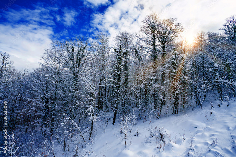 beautiful snowy winter landscape panorama with forest and sun. winter sunset