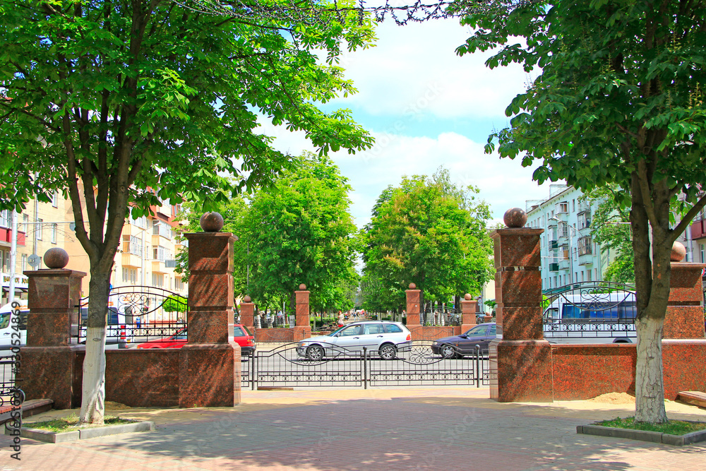 Urban panorama with chestnut trees in city park and cars. Urban view Urban panorama with chestnut trees in city park and cars. Urban view