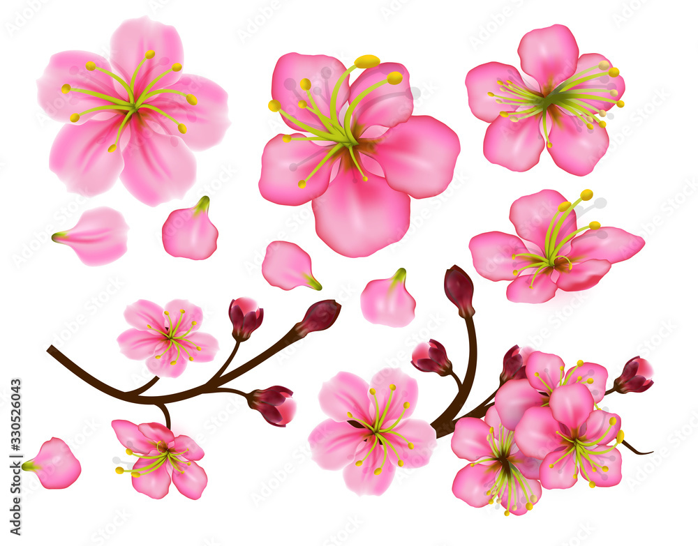 Set of Flower blossom twigs sakura. Design of realistic floral petals and buds isolated on white background. Elements for spring or summer design. Set of Flower blossom twigs sakura. Design of realistic floral petals and buds isolated on white background. Elements for spring or summer design.