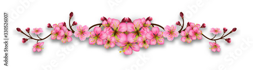 Element of cherry blossom branches. Line with flowers and buds isolated on a transparent background. Realistic pink floral border. Vector illustration