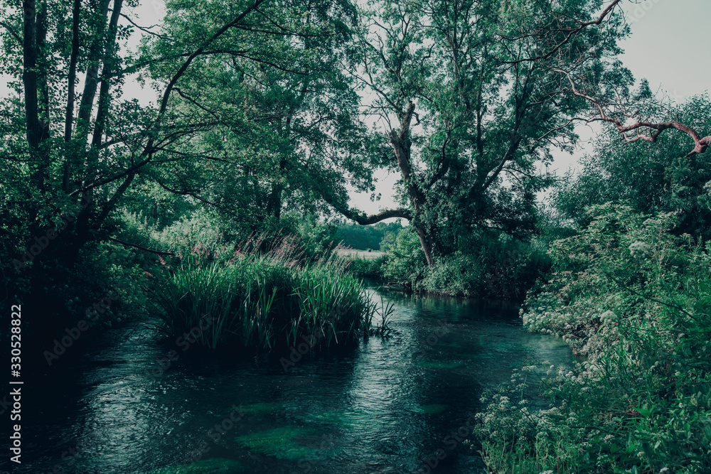 Fototapeta premium River Whitewater at Bramshill England
