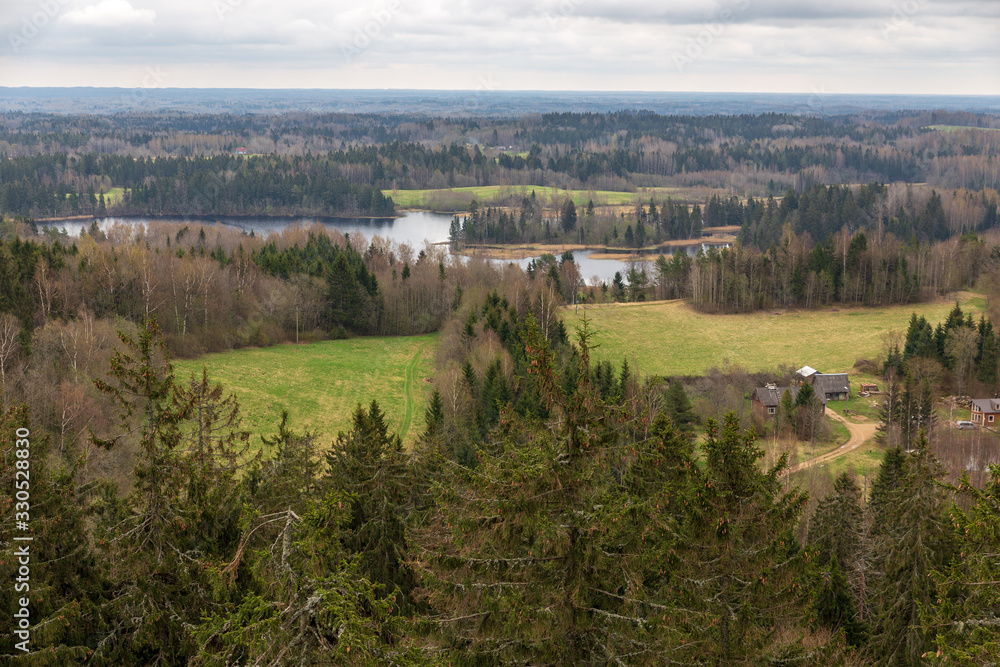 observation tower in estonia landscape
