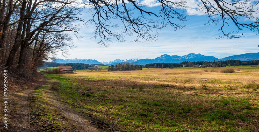 Moorlandschaft in Laufen, Berchtesgadener Land, im Frühling Moorlandschaft in Laufen, Berchtesgadener Land, im Frühling