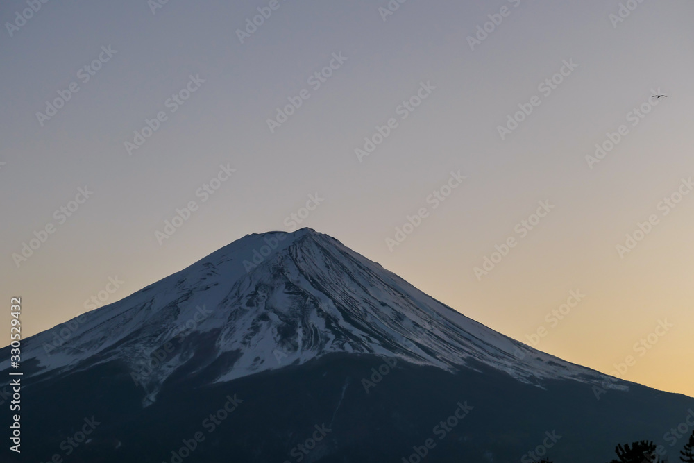 A view on Mt Fuji from the side of Kawaguchiko Lake, Japan. Soft colors of sunset - golden hour. Top of the volcano covered with a snow layer. Serenity and calmness. The lake's side is reed beds.